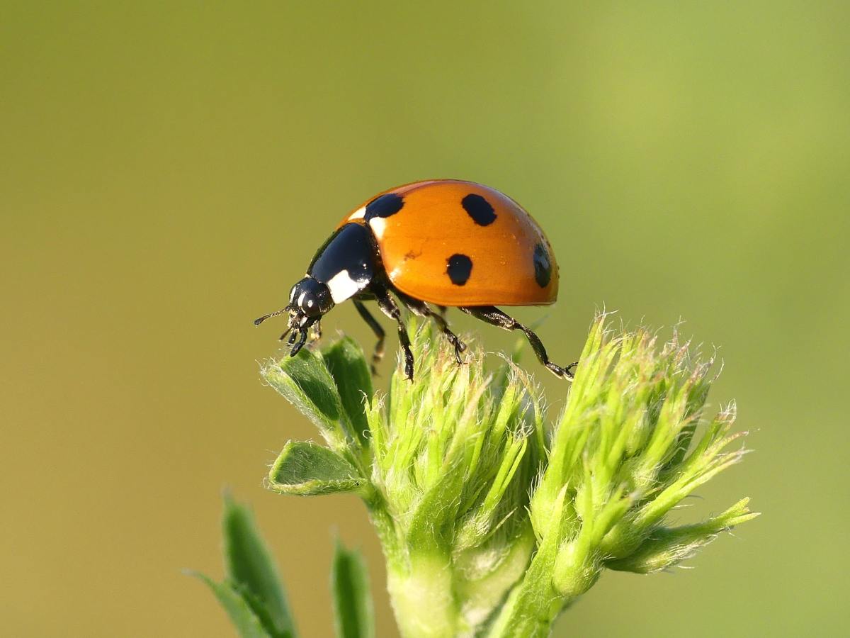 Les voisins de nos&nbsp;recoins